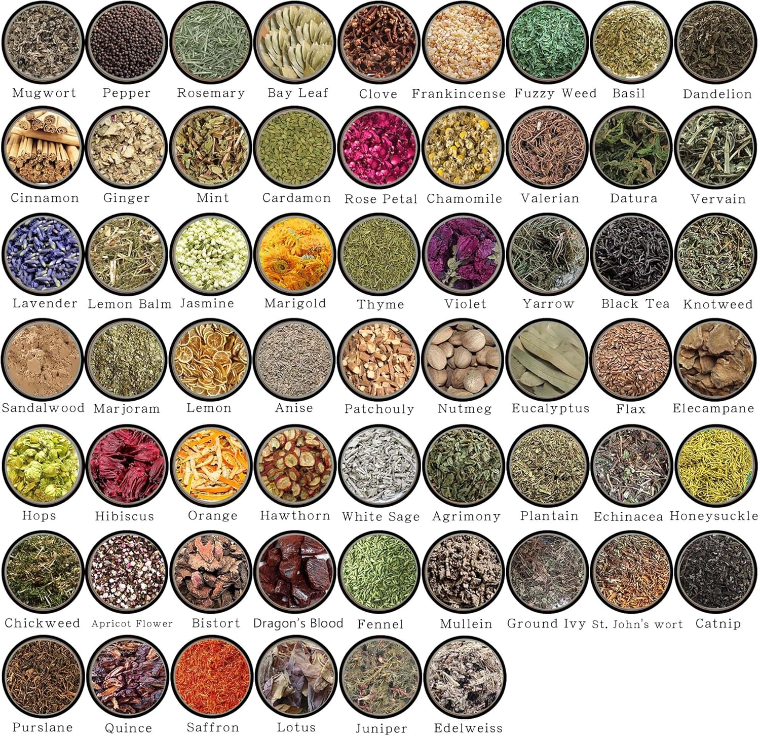 Kit di 60 Erbe per Stregoneria – Erbe Essiccate per Pratiche Esoteriche, Accessori e Strumenti Wicca, Kit Erboristico per Altare, Decorazioni Pagane, Kit di Inizio per Erboristeria